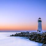 Favorite Edibles to Enjoy (A Local Perspective)