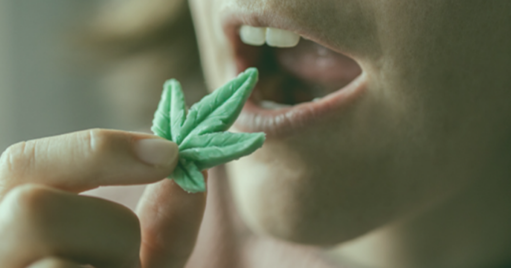 A Comprehensive Guide to THC Edibles in the USA
