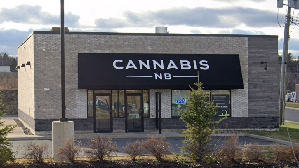 Product Sales Up, Net Income Down for Cannabis NB in Q4 2025