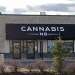 Product Sales Up, Net Income Down for Cannabis NB in Q4 2025