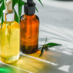 France Bans CBD Edibles Under EU Food Safety Regulation from 1997