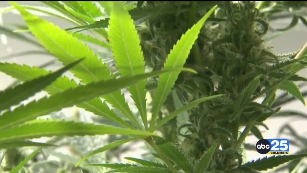 State lawmakers end special session without passing new rules for hemp-based THC drinks, edibles