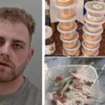 Elyott Webb, Eckington sentenced after raid on caravan site