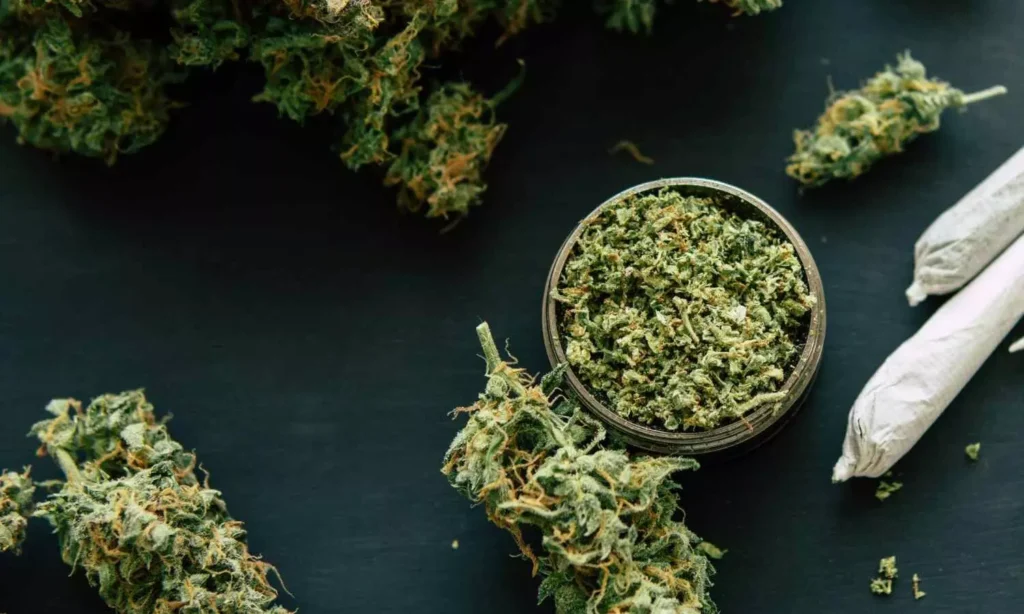 Co-use of Cannabis Edibles and Alcohol Increases Driving Impairment, suggests JAMA study
