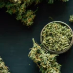 Co-use of Cannabis Edibles and Alcohol Increases Driving Impairment, suggests JAMA study