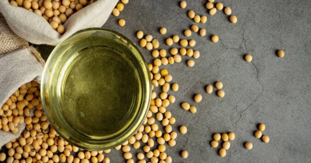 Plan submitted to reduce Pakistan’s reliance on edible oil imports