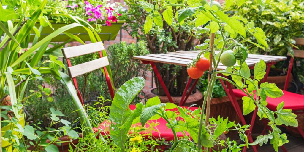 The best edible plants to grow in small spaces