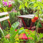 The best edible plants to grow in small spaces