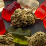 Edible Marijuana Dangers: How Parents Can Prevent THC Poisoning