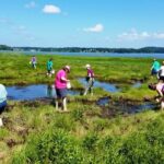 Seacoast Wild Edibles Workshop Offered July 11 by NH’s Becoming an Outdoors Woman Program