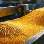 Solvex Edibles FY26 audit qualified on IPO funds use