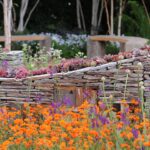 What to Plant in July for Fast Results This Summer – Plus Beautiful Blooms and Harvests for Months to Come