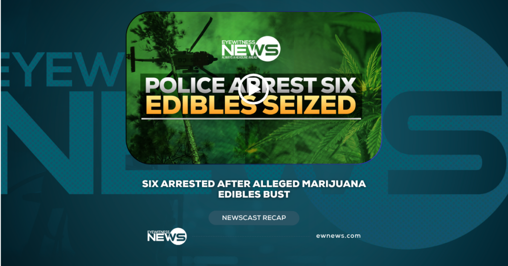 Six Arrested After Alleged Marijuana Edibles Bust