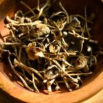 What are mushroom-laced edibles? Are they legal in NJ?