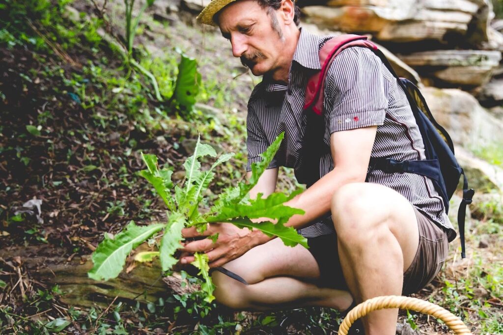 Wild edibles foraging walk at Forbes Riverside Garden