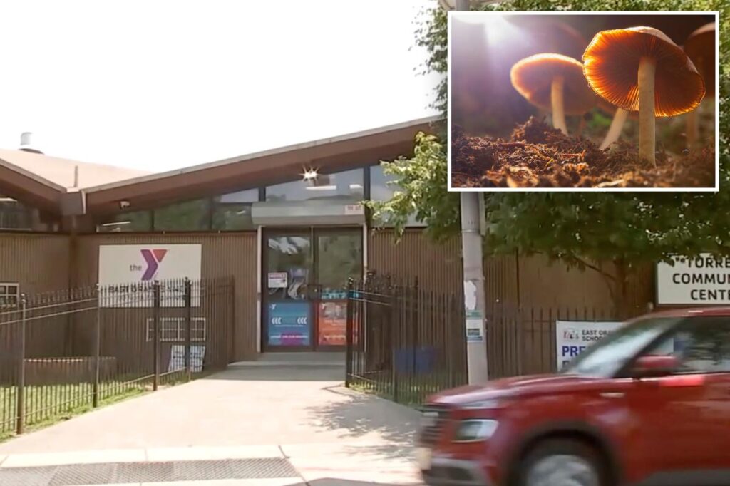 Kids found in ‘zombie’ state after munching on mushroom-laced edibles at New Jersey summer camp