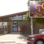 Kids found in ‘zombie’ state after munching on mushroom-laced edibles at New Jersey summer camp
