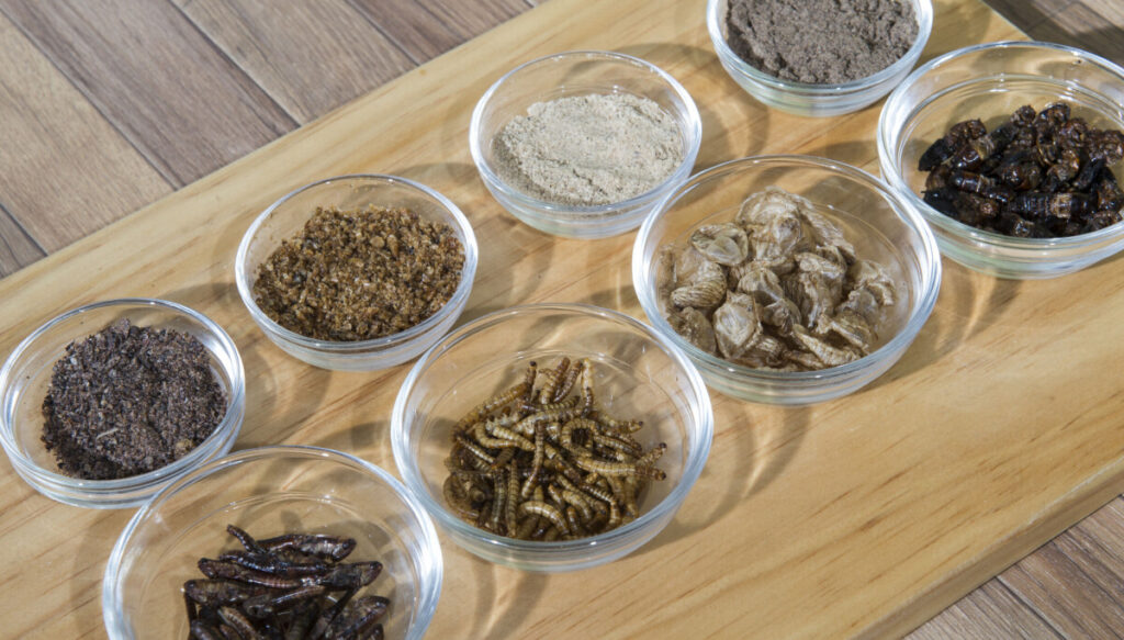 Ants on the menu? Not in Korea. Try these 10 edible insects instead.