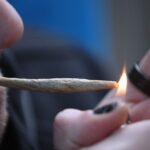 Marijuana use up, alcohol use down: Are Americans trading one for the other?