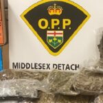 OPP Seize Shipment of Cannabis, Edibles During Traffic Stop
