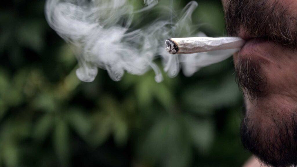 U.S. weed smoking hits record high