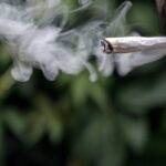 U.S. weed smoking hits record high
