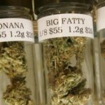 New Georgia law expands medical marijuana access; nearly 10,000 join registry, creating four-week card wait