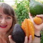 Rare plants, edibles and environmental conservation with KC Gonzalez (Gonza Gardens)