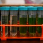 Colorado warns of hazardous marijuana vapes sold at 405 dispensaries