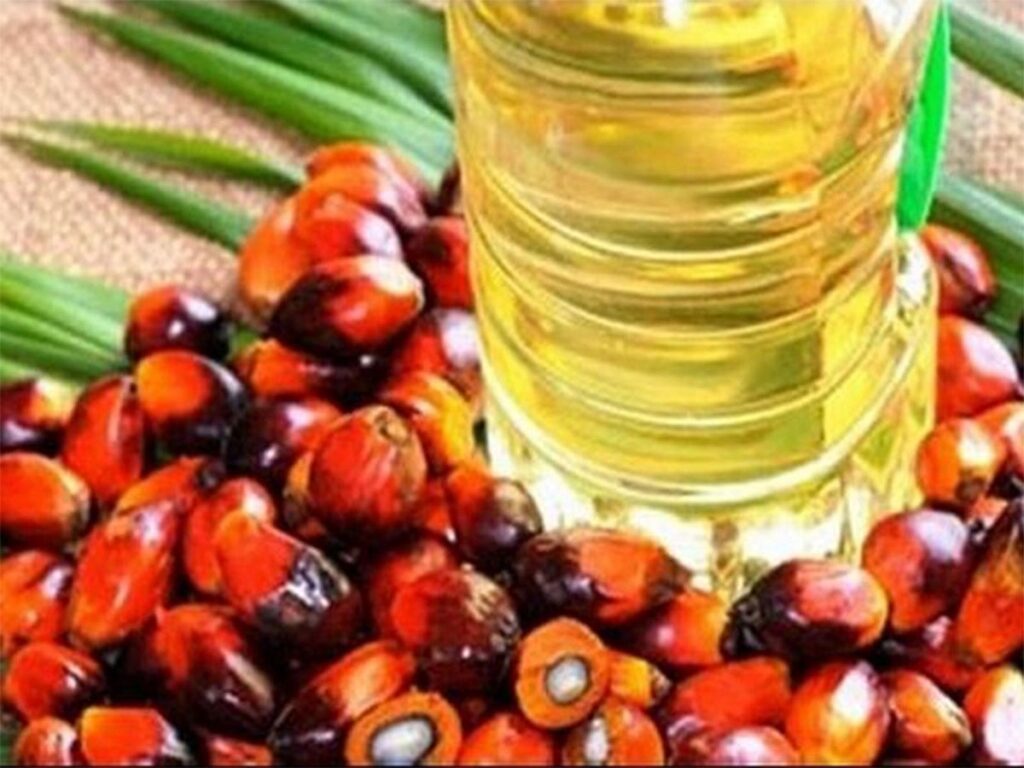 Centre cuts edible oil import duties; zero duty on crude sunflower oil