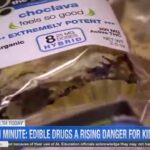 Cannabis Edibles Linked to Sharp Rise in Accidental Poisonings Among Children