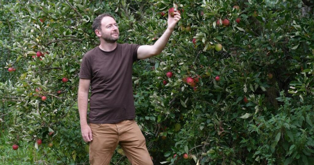 Jack Wallington’s guide to growing edible perennial plants