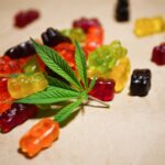 Cannabis Edibles Impair Driving Below Legal THC Thresholds, Trial Finds