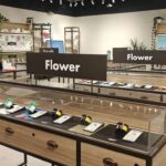 Canada Cannabis Sales Reach New High in August 2026