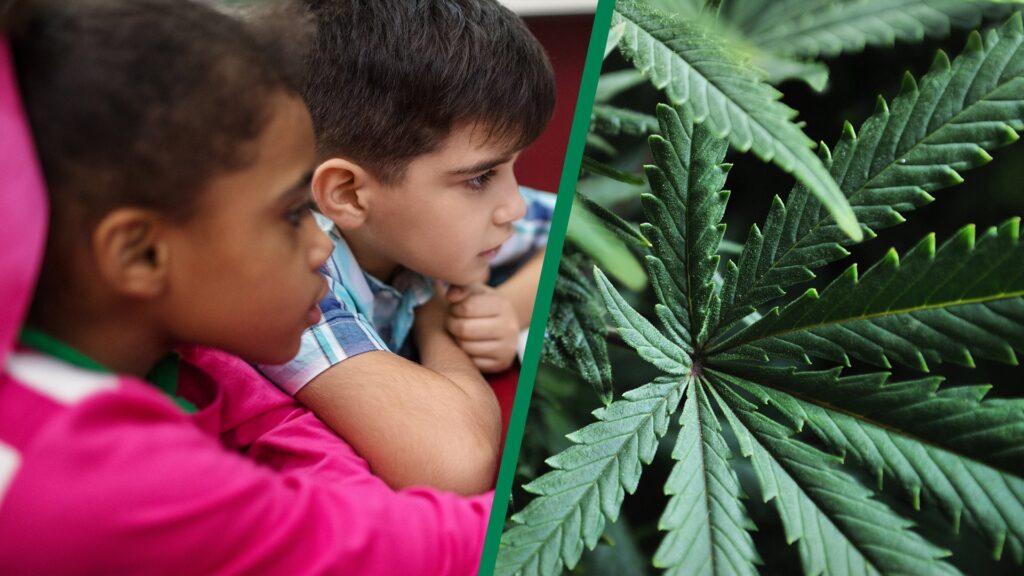 OCM Halloween cannabis warning: Keep edibles from kids