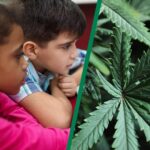 OCM Halloween cannabis warning: Keep edibles from kids