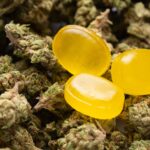 Shelter-in-place emergencies reported amid marijuana gummy use